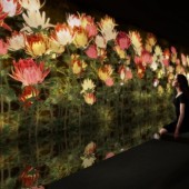 teamLab ra mắt triển lãm kết hợp giữa nghệ thuật và phòng tắm hơi